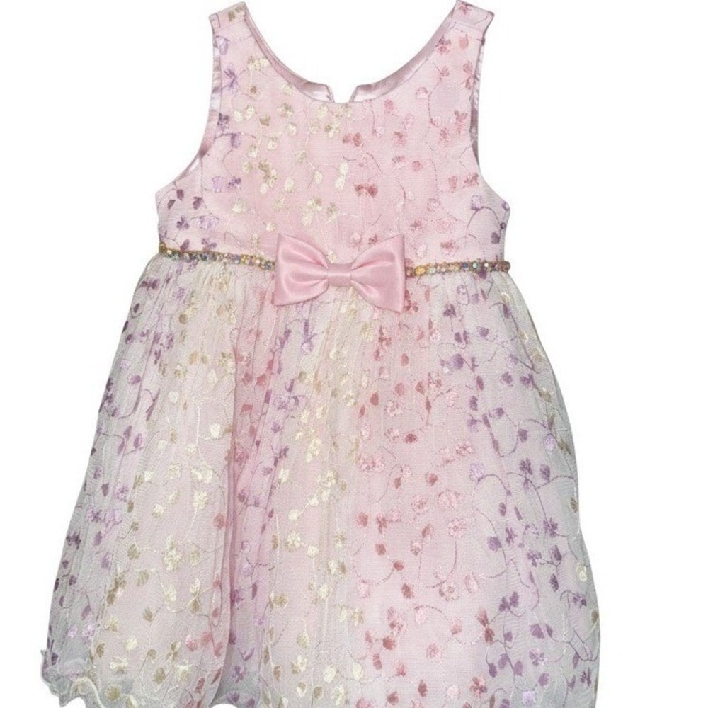 American Princess Floral Embroidered Party Dress Toddler Girl 18M Pink